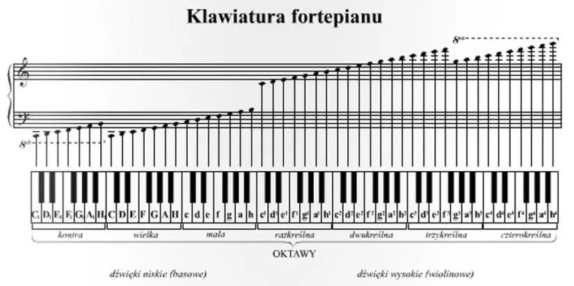 Jak wybrać klawiaturę pianina: liczba klawiszy ma znaczenie