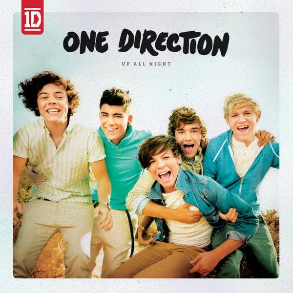 Koncert One Direction w Polsce