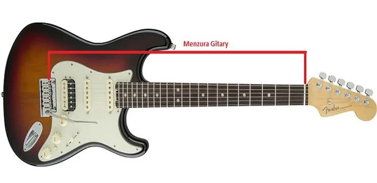 Menzura gitary