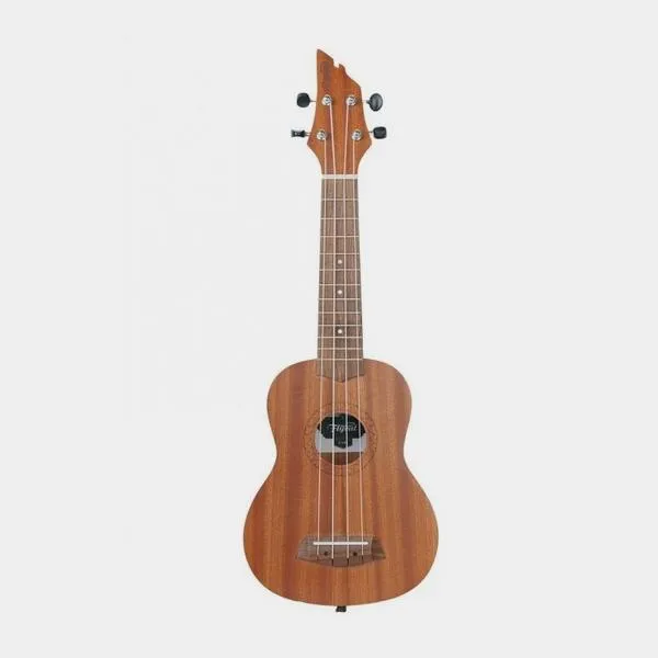 Najlepsze modele ukulele