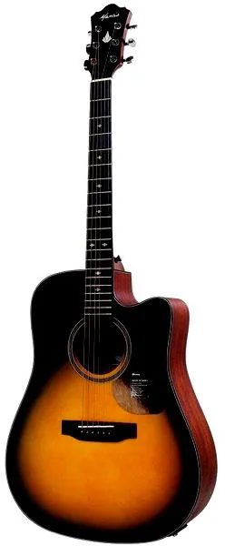 Rodzaje gitar akustycznych